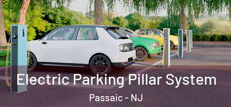  Electric Parking Pillar System Passaic - NJ